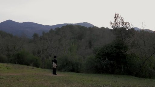 Introspecció